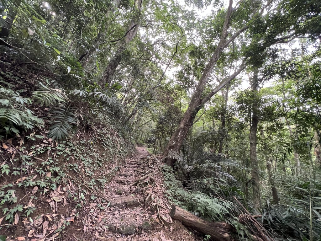 2023-08-13 馬那邦山（馬拉邦山）_2251258