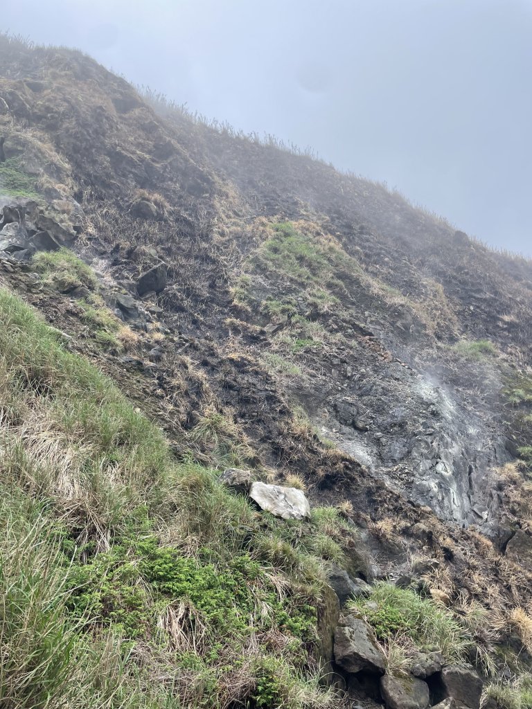 台北大縱走3_2769697