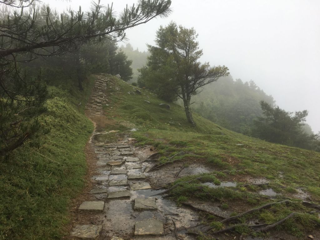 麟趾山鹿林山_187843