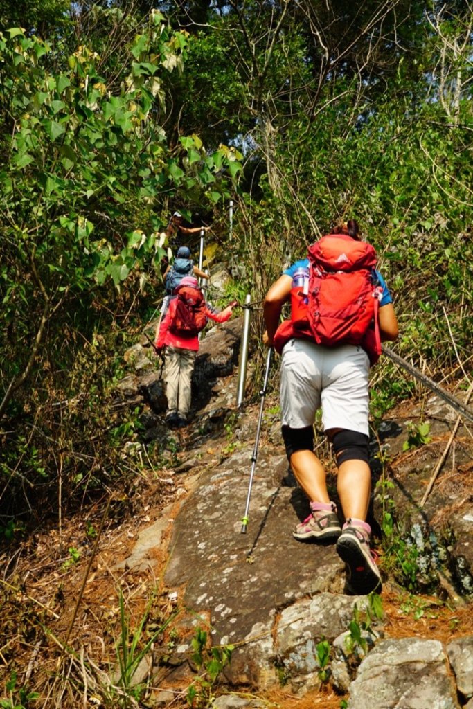 埔里彩蝶瀑布之國姓鄉眉冷山及糯米橋_1466151