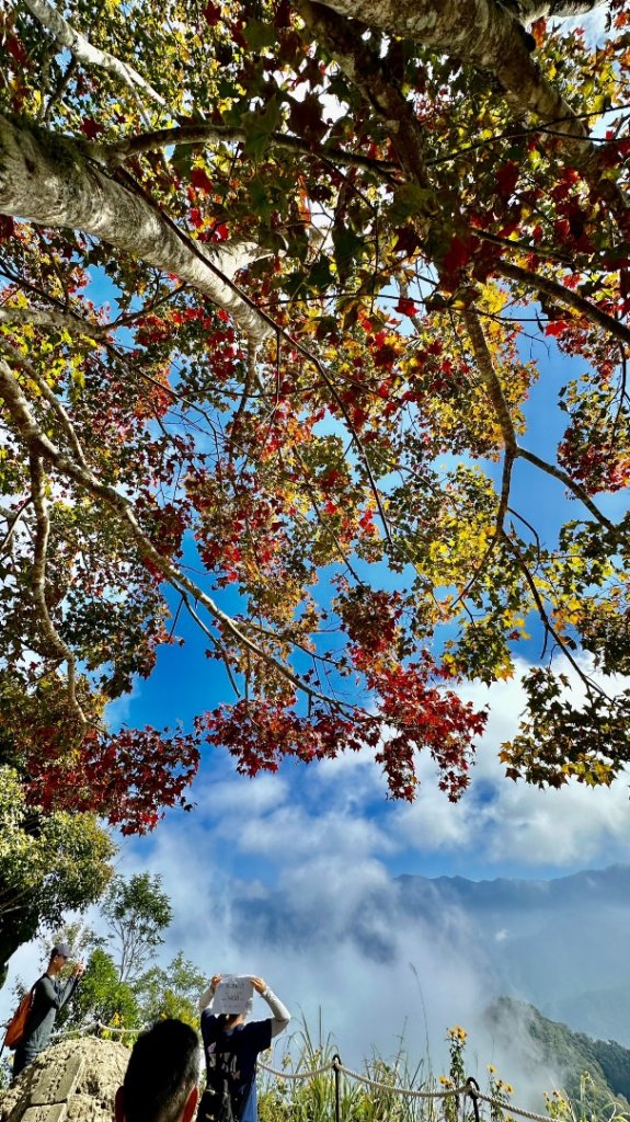 馬那邦山O走_2370078