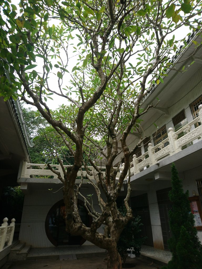 金童玉女山_691617