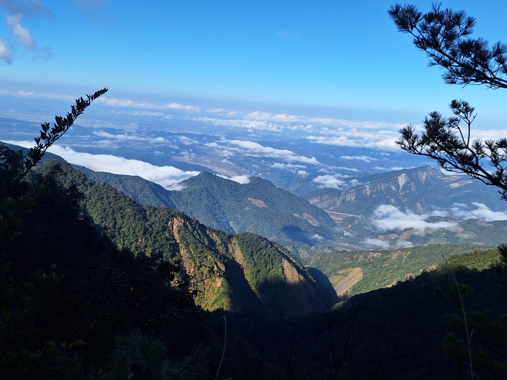 大雪山森林遊樂區之烏石坑山+山椒山(210林道)20240110封面圖