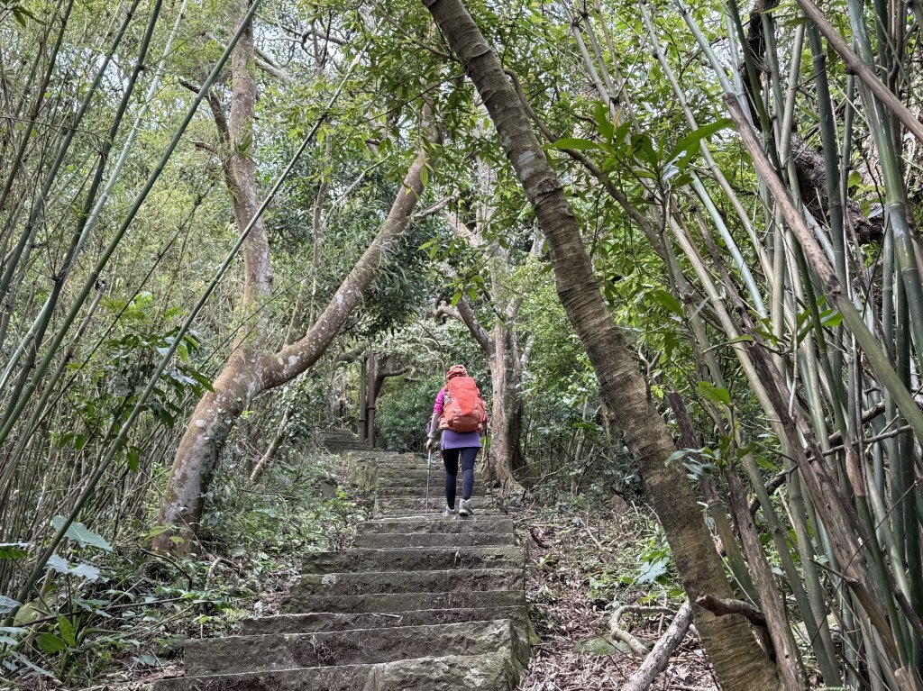 淡水搭渡輪上觀音山+占山O繞 搭公車接渡輪回淡水-20250318_2770630