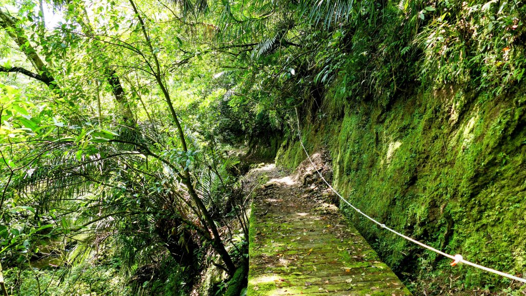 畝畝山。又上說_2768138