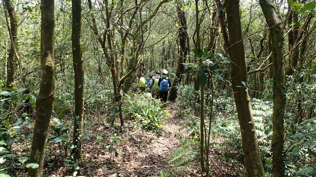 北部三大縱走之界寮大縱走_50211