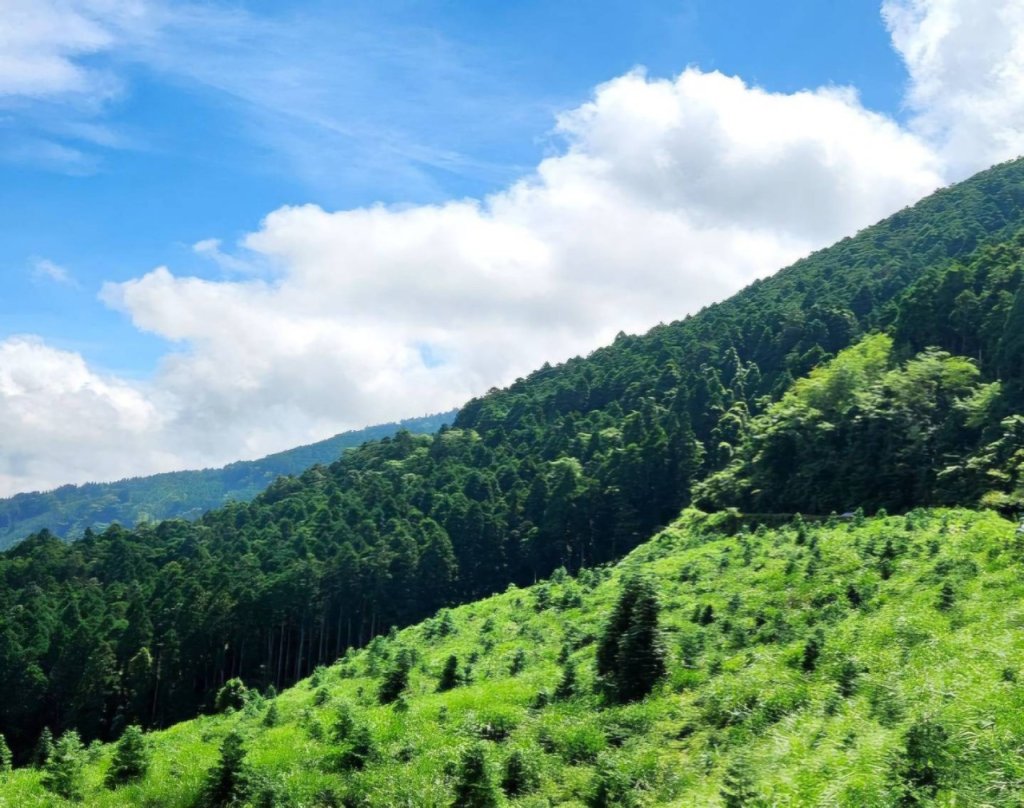 【中級山】來過一次，你不會忘記它的名字，新竹油羅山_2743736