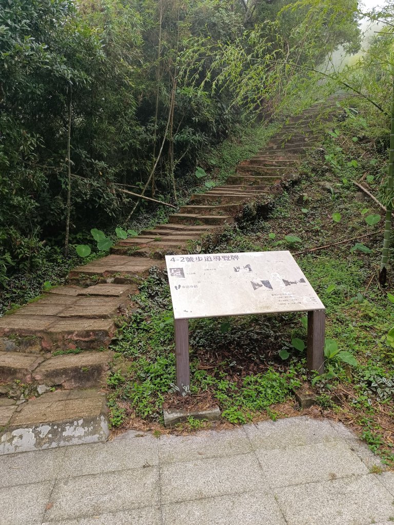 雲嘉大尖山、二尖山步道_2983740
