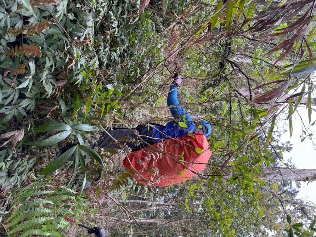 桂山路197巷 》呂奔山北峰 》呂奔山 》阿玉壩_2755807