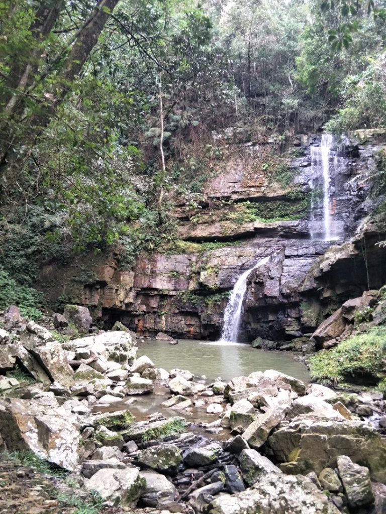 澀水森林步道封面圖