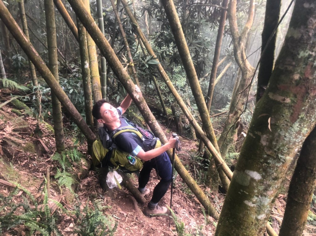 溪頭鳳凰山【過關斬將 登上山巔變鳳凰】_1168902