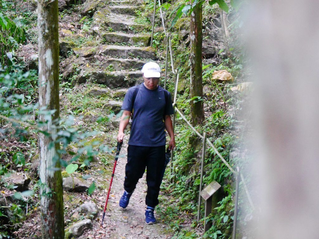 五指山橫向步道_1029488