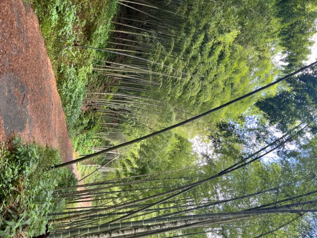 雲林小百岳-石壁山封面圖