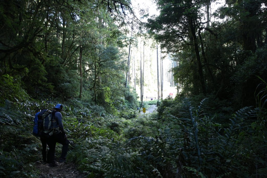 水樣森林 第一次在山裡過夜_658590
