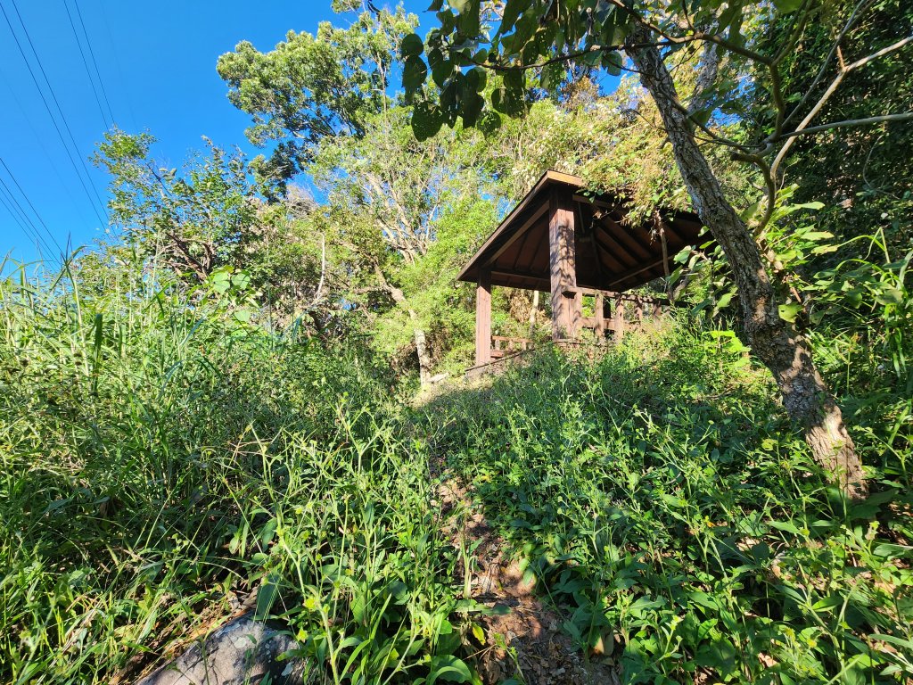 20241013東南稜上東卯山_2670977