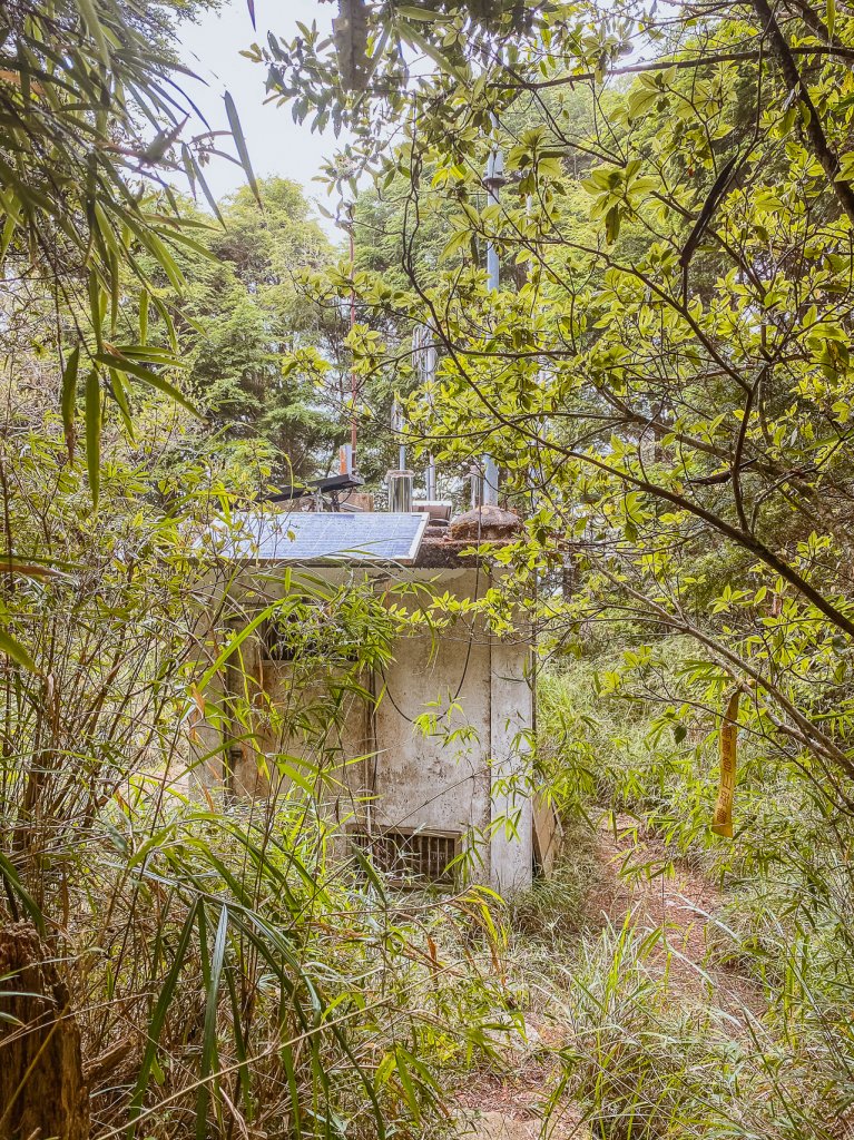 20200614-[嘉義] 自忠山，東水山。_1635882