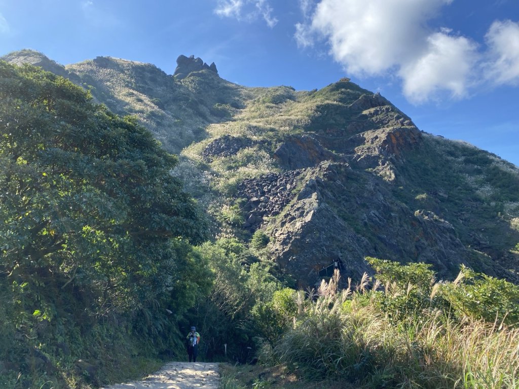 2023/11/23 茶壺山 半平山 燦光寮山 O繞_2389141