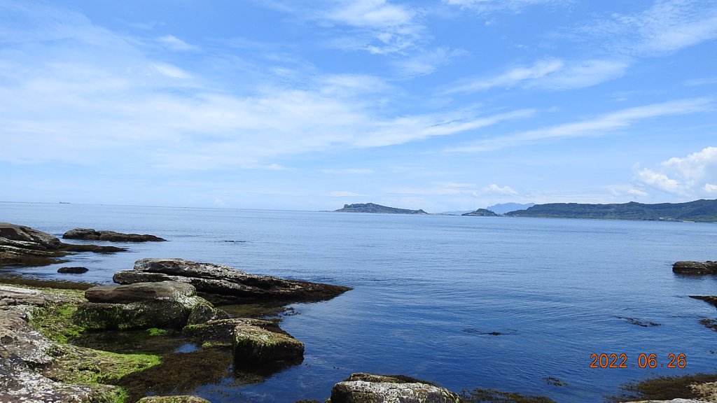 雲山水花鳥蝶-天龍國阿伯的日常6/25&26_1745012