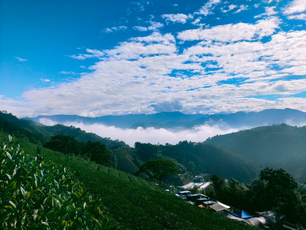 雲嘉連峰_2365673
