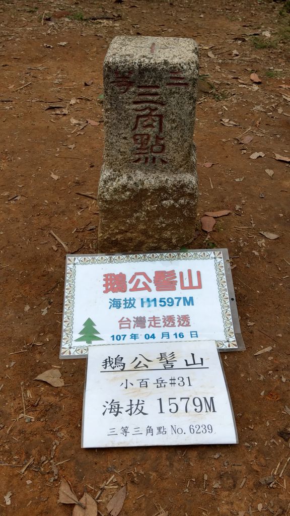 鵝公髻山之花_400778