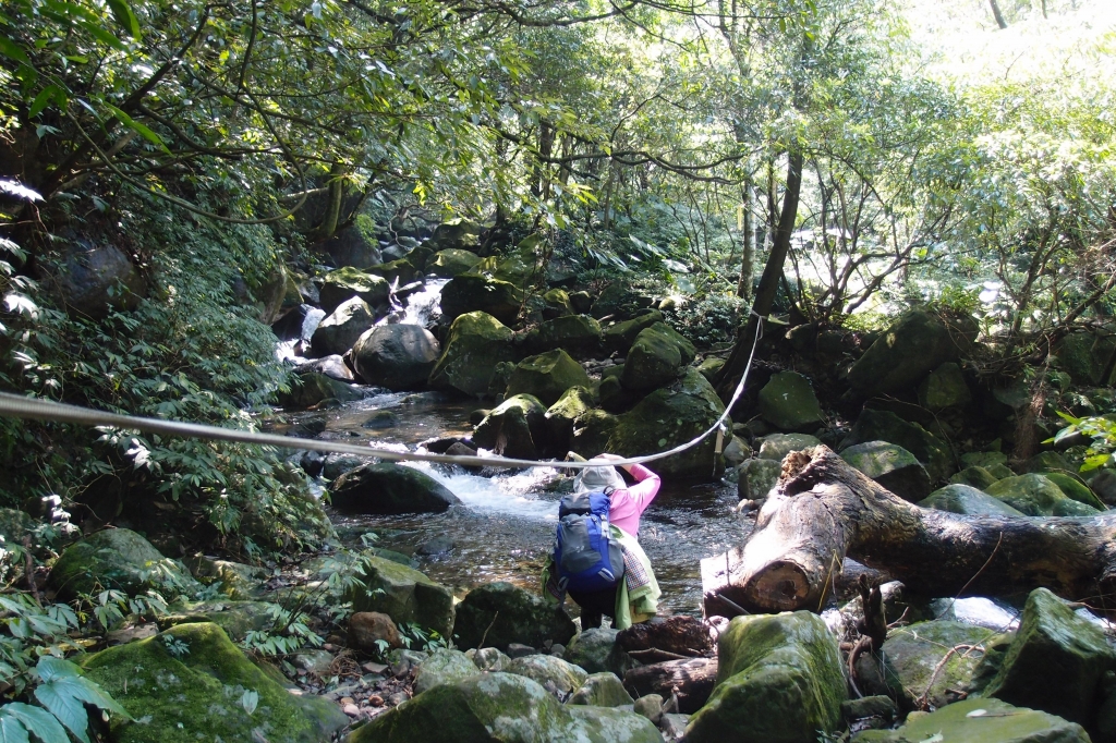 大屯溪古道上小觀音山西峰封面圖