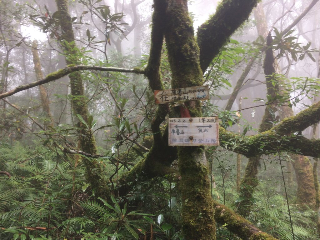 復興尖山之速_446618