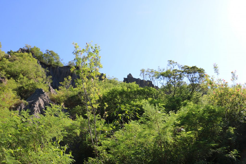 地質奇岩。 利吉惡地x台東小黃山_842821