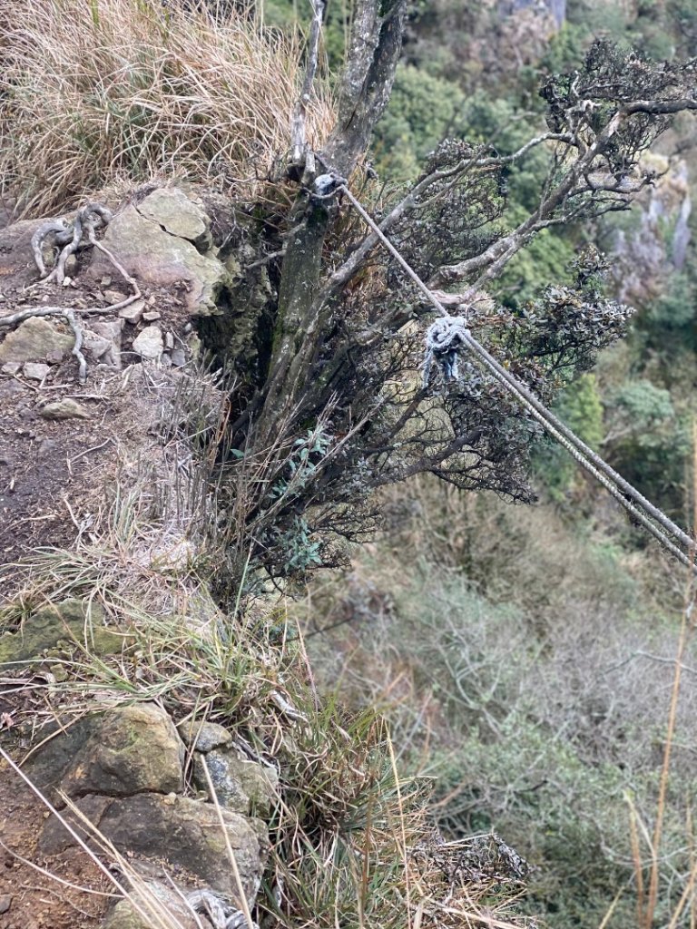 苗栗泰安-水雲三星-橫龍山_2612879