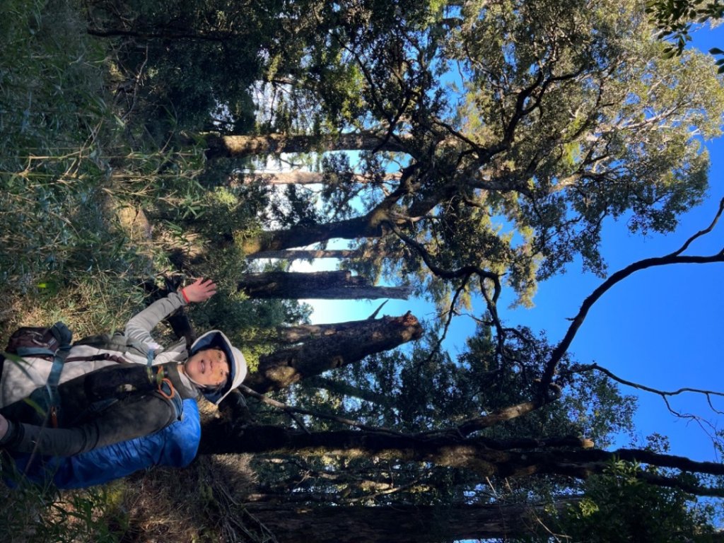 2022/03/08觀霧山莊-雪見遊憩區_1635584