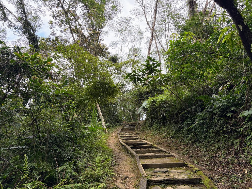 鯉魚山步道群_2728308