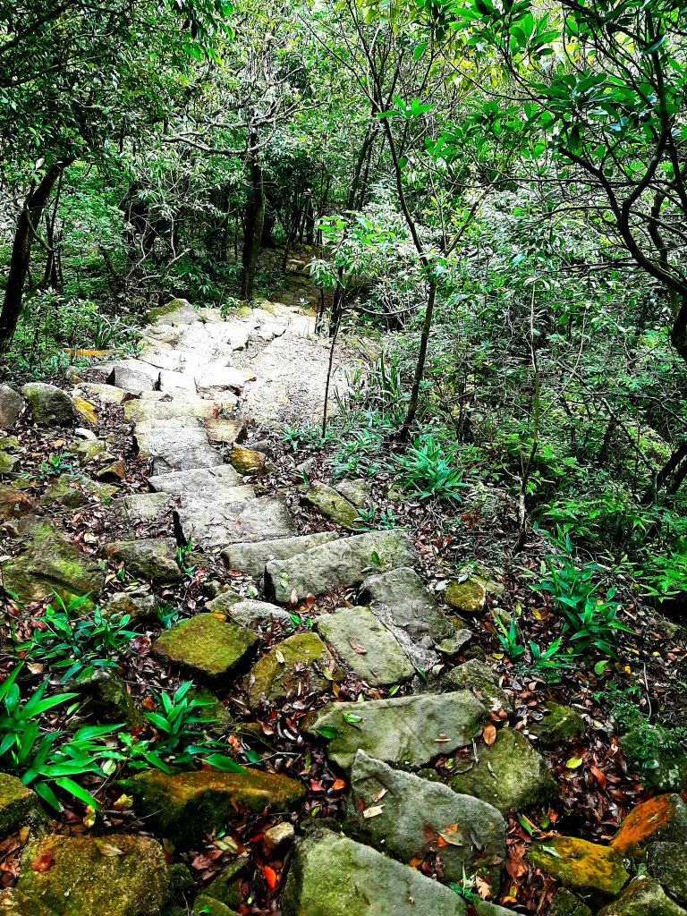 金面山、絹絲瀑布_2532430