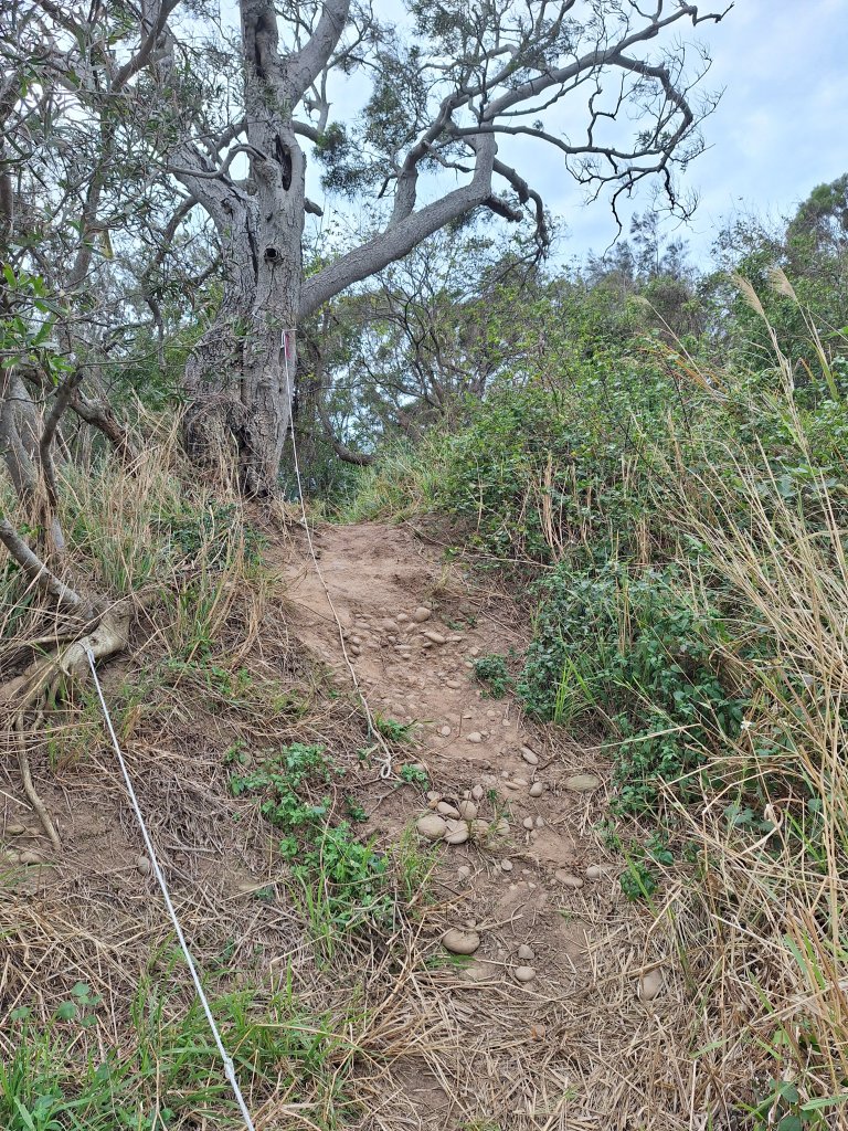 苗栗基石:貓貍山、將軍山、公司寮山、半天寮山、白沙屯山_2693769