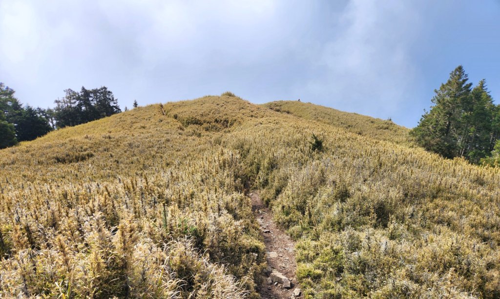 【百岳】志佳陽大山_2779784