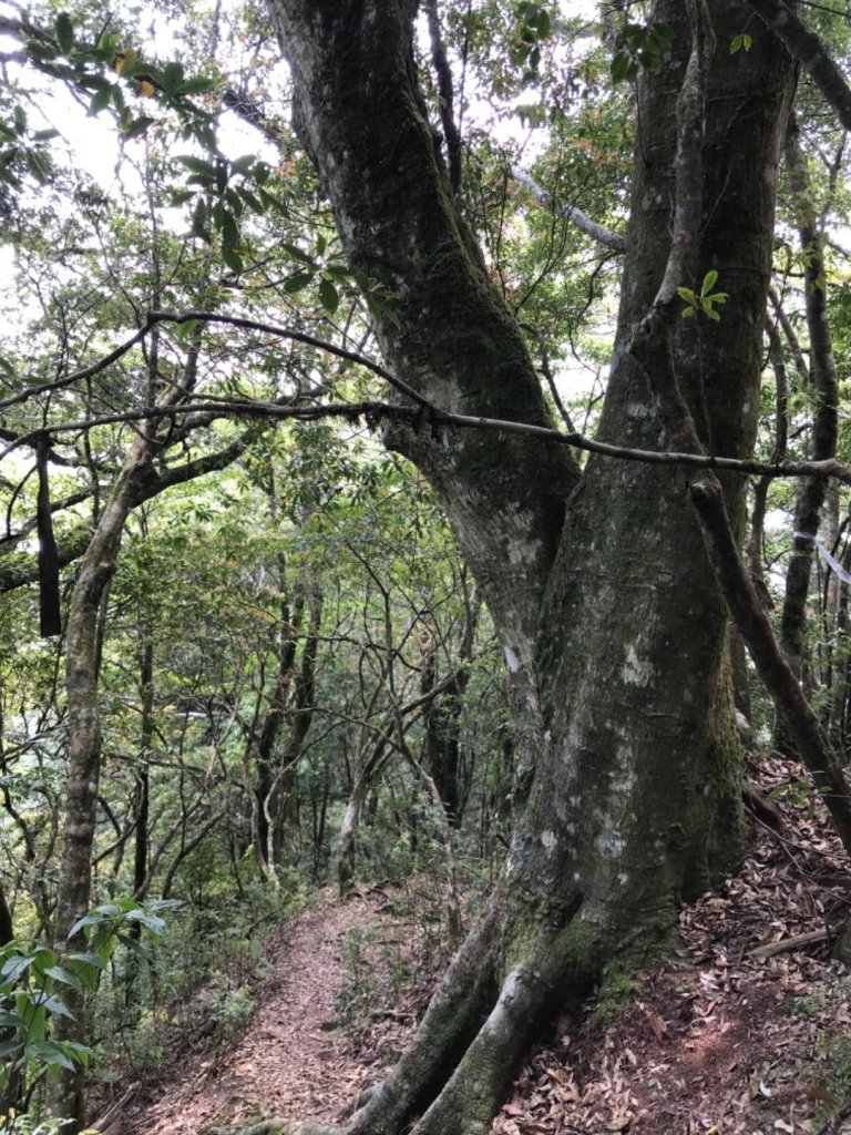 清泉霞喀羅大山_959278