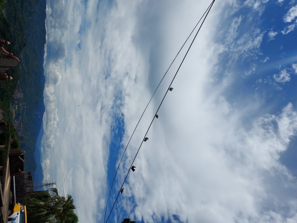 台北大縱走_1744002