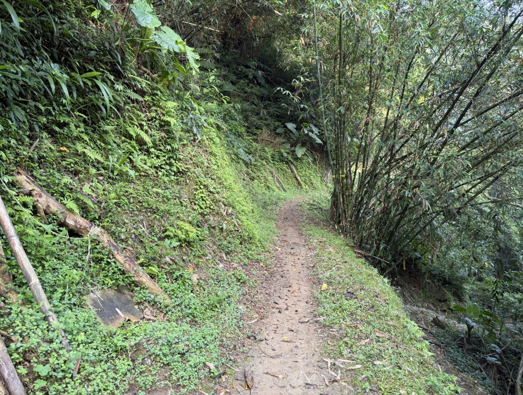 [微笑山線_第八段] 2026_0411 二格山系_西帽子岩_3034952