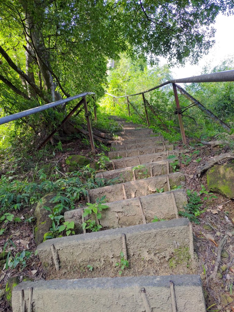 三崁頂步道_1453260