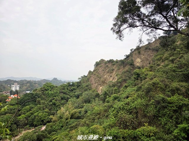 【高雄大社】小百岳大社觀音山步道_3013134