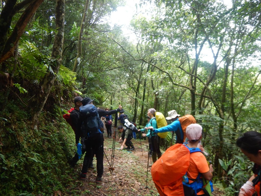 淡蘭古道中路_794548
