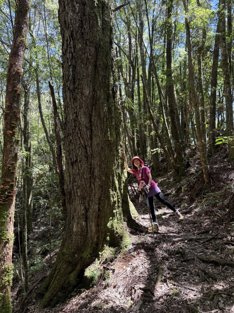 馬崙山 20250906_2889343