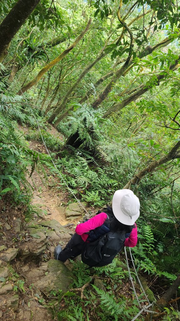 2024-0224大香山-鵝角格山-貓空纜車-茶山古道到政治大學_2437535