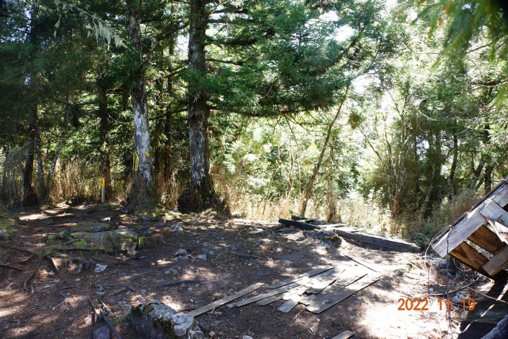 南投 信義 西巒大山_1922315