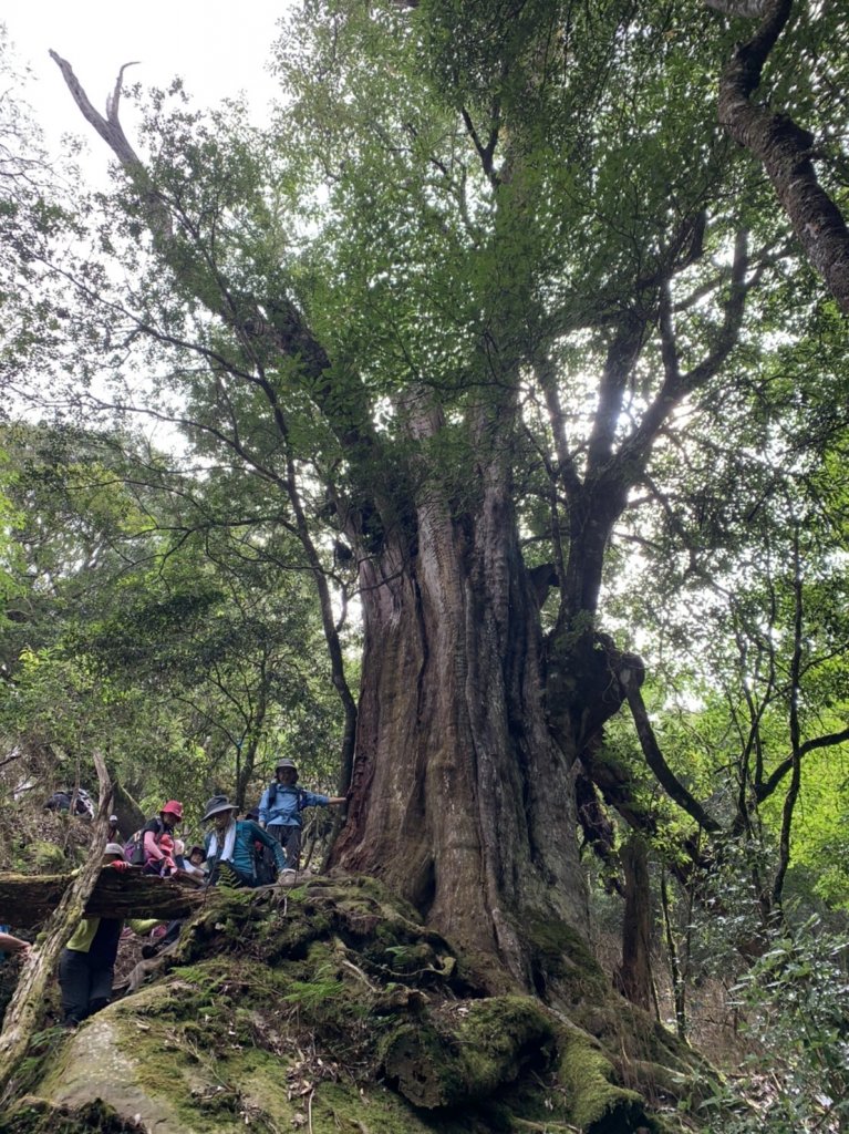 加里山封面圖