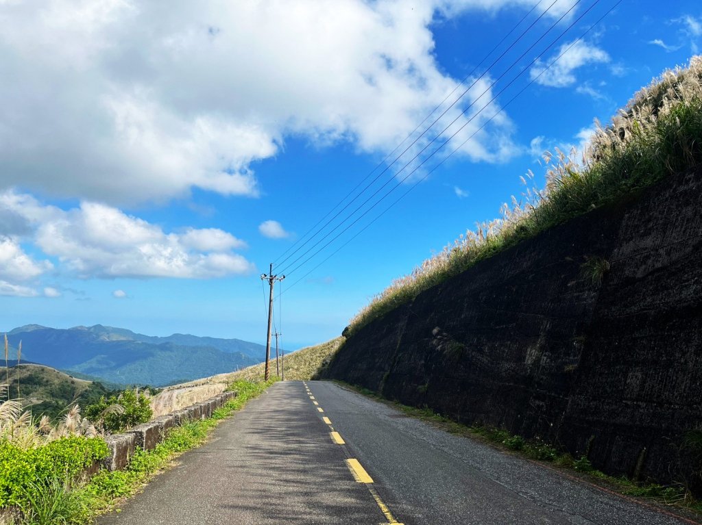 愛在秋芒紛飛時...五分山_2353710