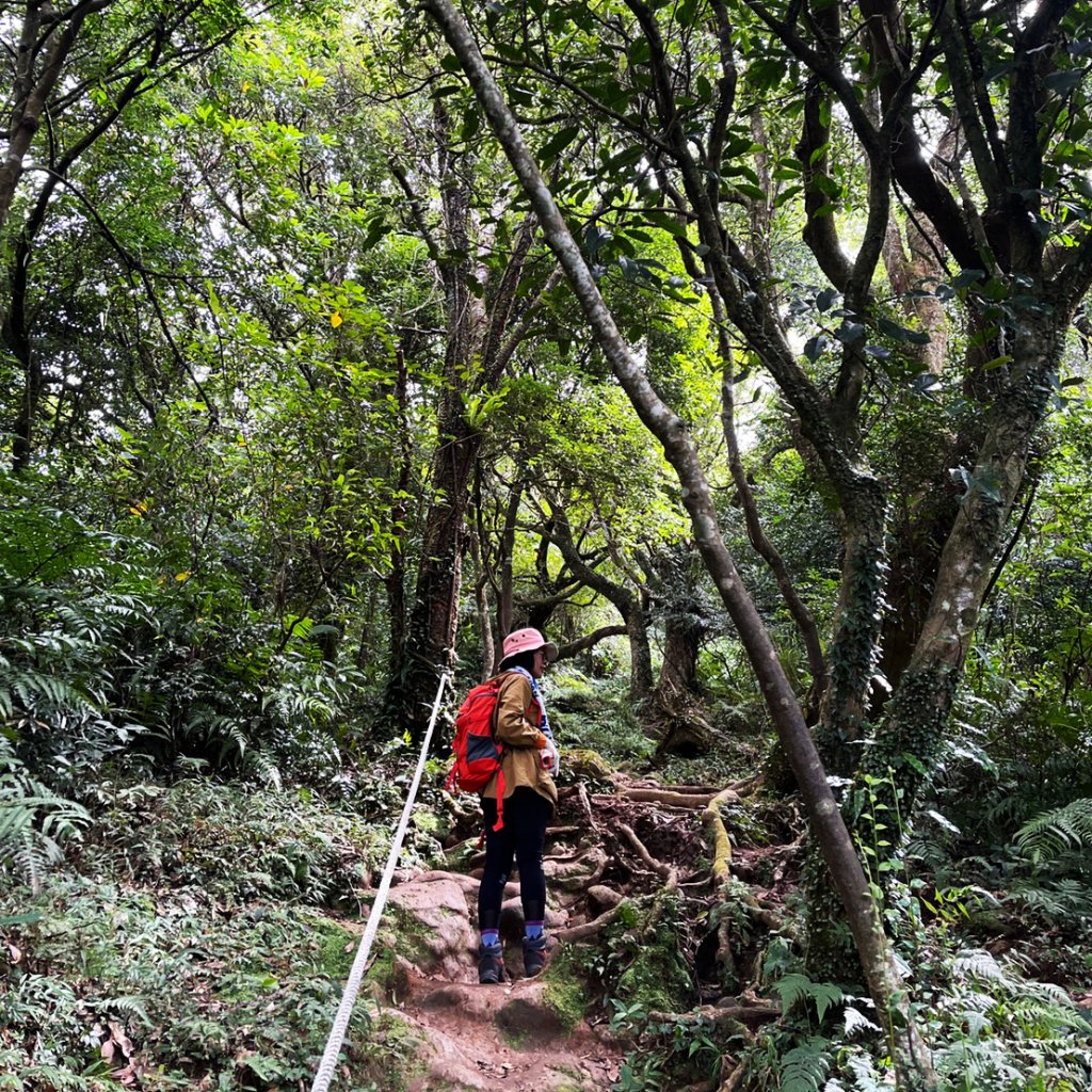 臺北大縱走2：二子坪到小油坑_1487027