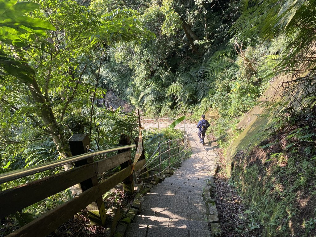 四獸山健走紀錄｜冬日九五峰健走｜福德街51巷起登 × 豹山溪步道下山_2985956