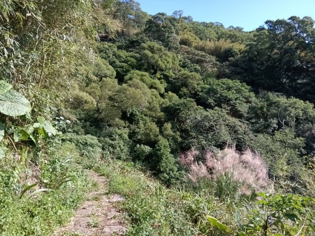 北投區清天宮步道+面天山+向天山+向天池+興福寮步道+頂青礐古道P字走_2960127