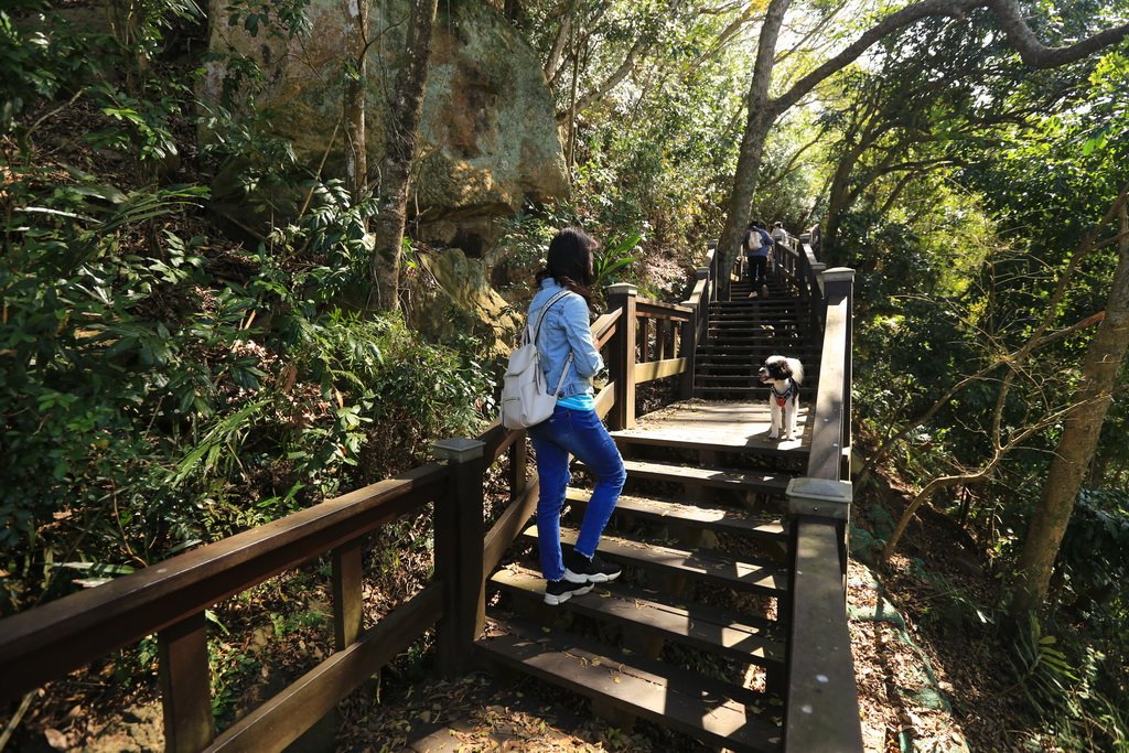 2023_0219 后里鳳凰山觀音山O走_2039819