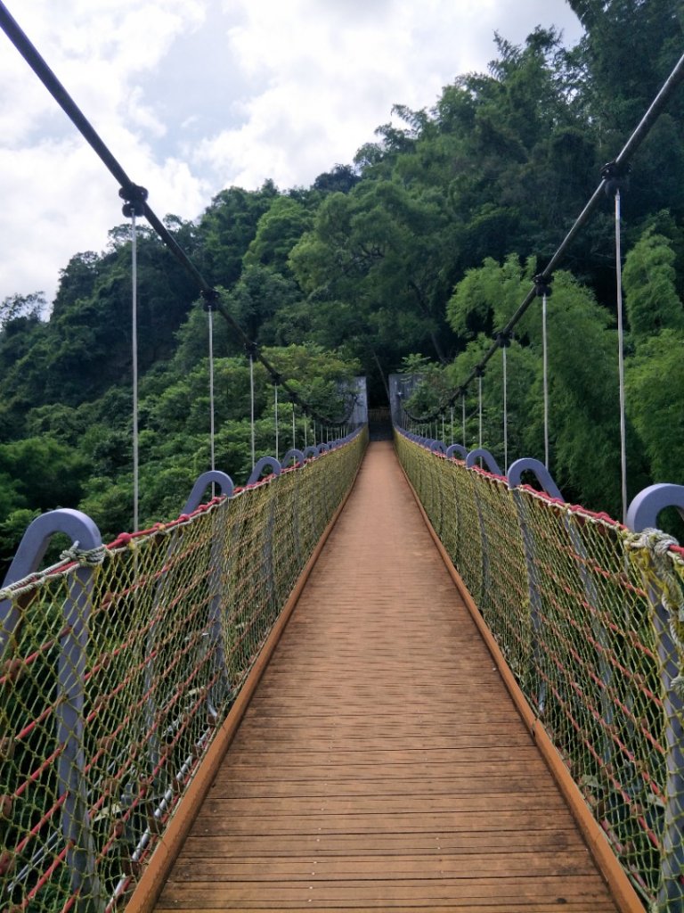 蝙蝠洞_1442906