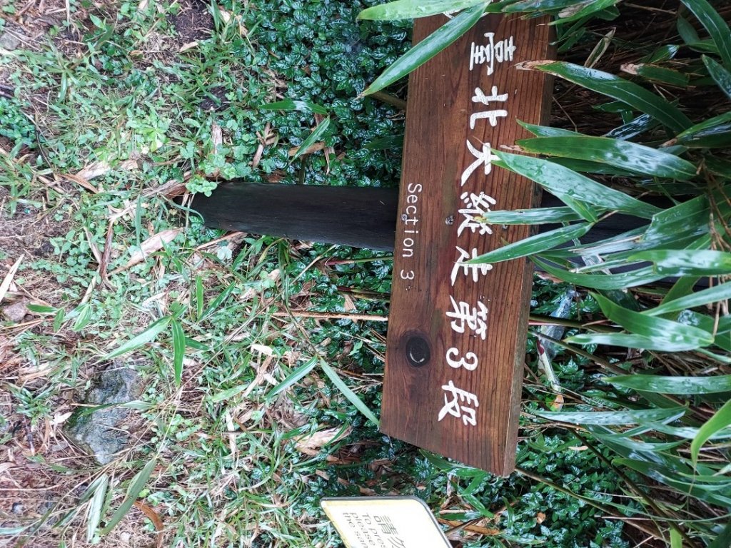 小油坑～七星山～冷水坑～擎天崗_1940718